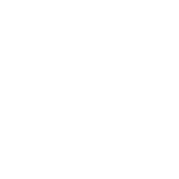 ce logo Deltona